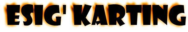 logo ESIG'KARTING